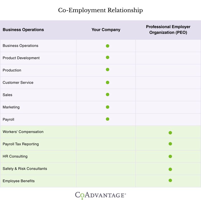 CoAd_Co-Employment Responsibilities Table